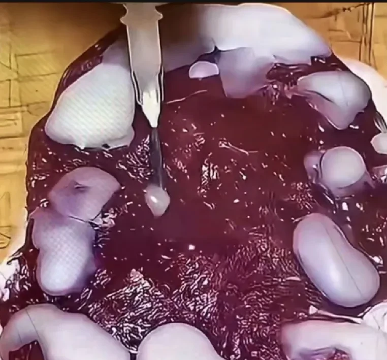 :涂-揠棺髒 -雷竞技娱乐