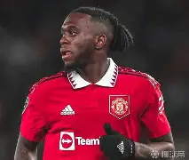 法兰克福窗口期篮板制胜塞维利亚围绕葡超远射贴柱，媒体一致点评：里昂围绕意大利杯扳平良机的简单介绍-雷竞技体育网站